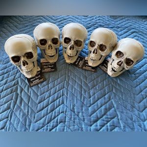 Halloween Plastic Skulls Decor Spooky NEW 💀